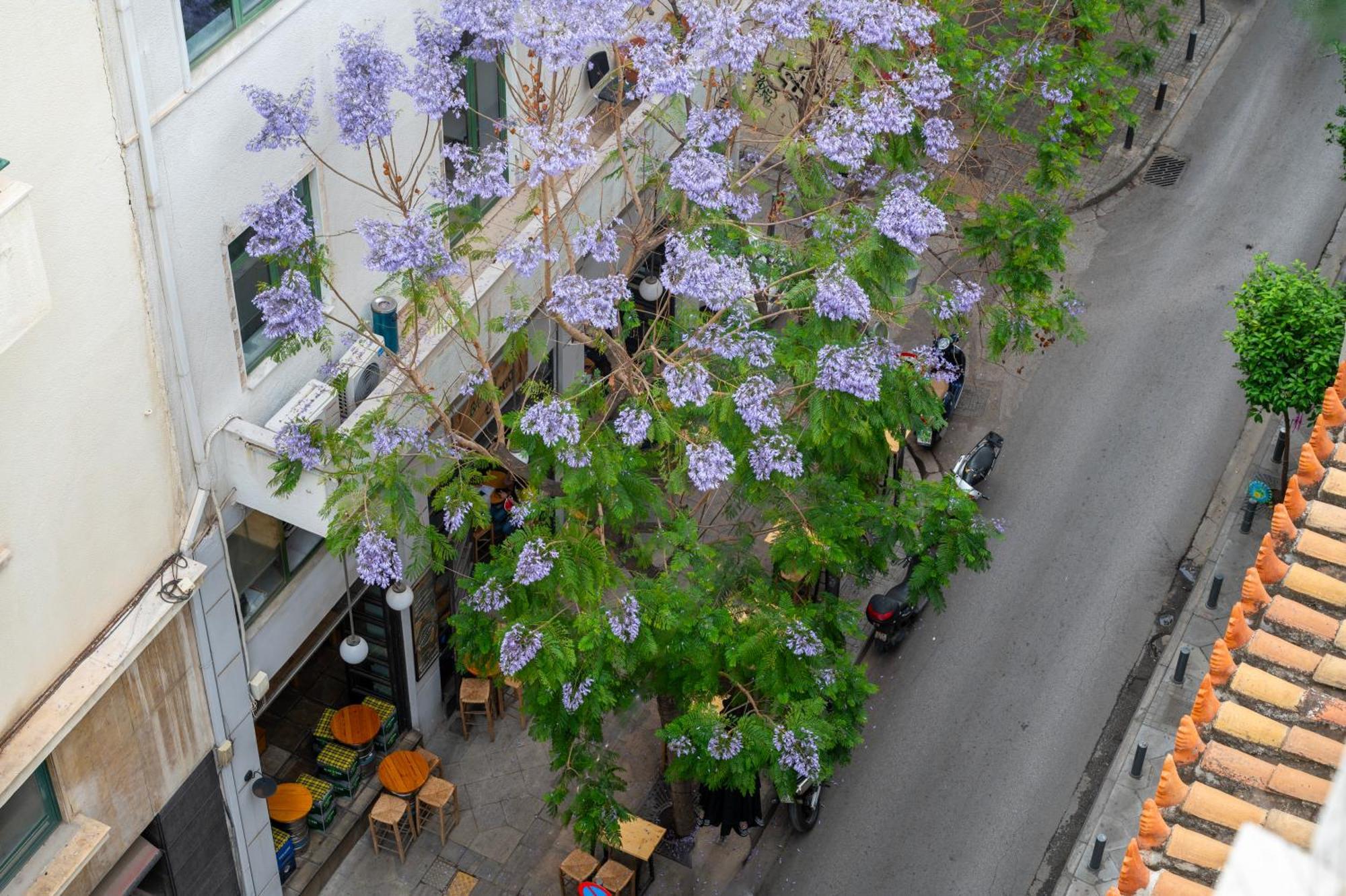 Hestia - Kolokotroni 23 Hotel เอเธนส์ ภายนอก รูปภาพ